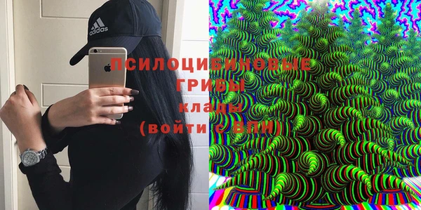 гидропоника Новокубанск
