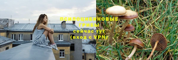 кокс Алзамай