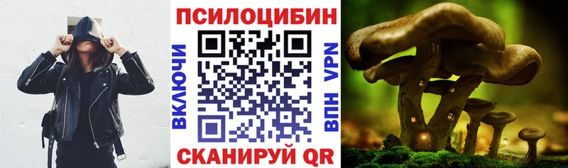 Псилоцибиновые грибы Psilocybine cubensis  кракен   Спасск-Рязанский 